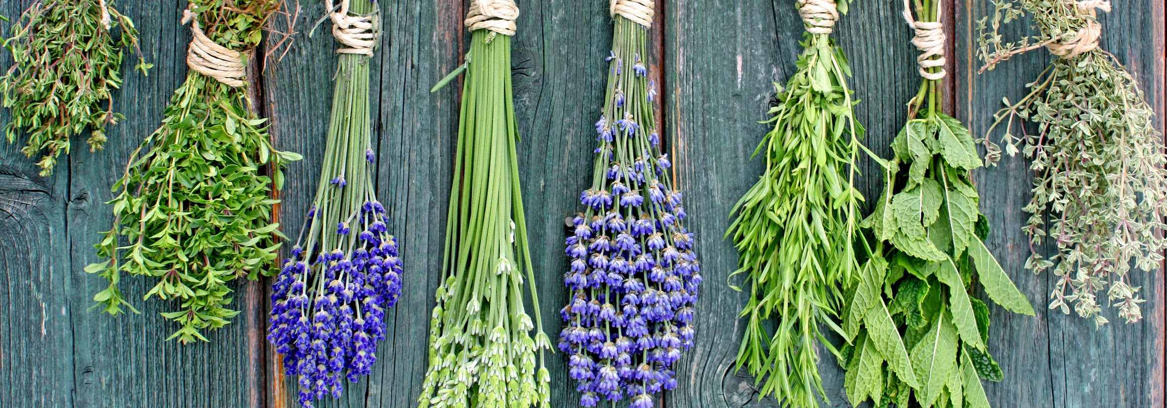 Kräuter der Provence