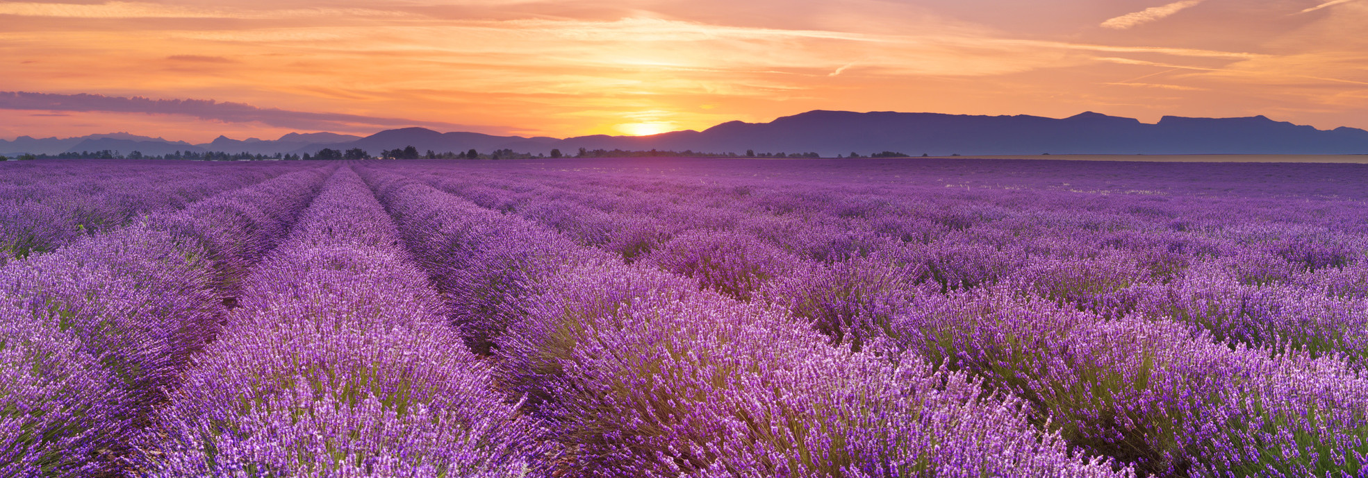 Französischkurs in der Provence