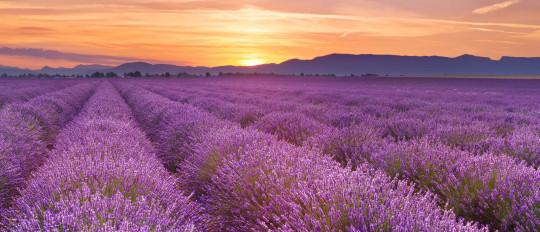 Französischkurs in der Provence