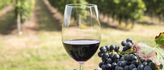 Französisches Flair: Bei einem Glas Wein Französisch sprechen!