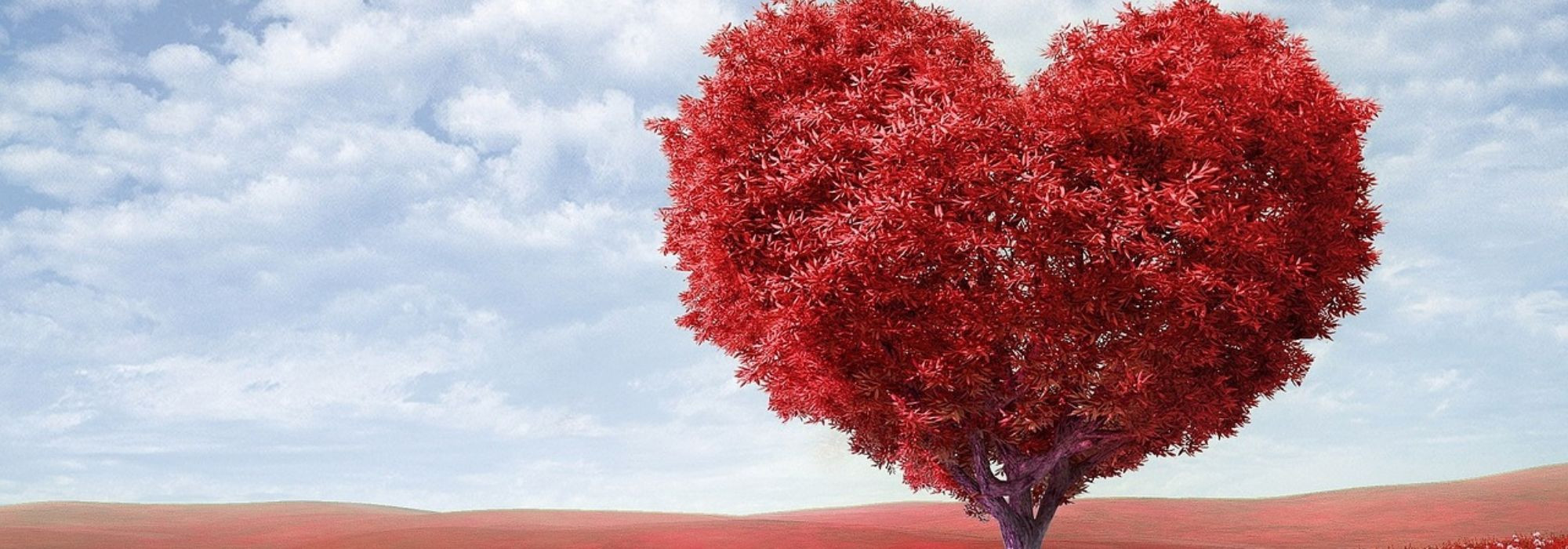 Französische Ausdrücke über Liebe und Leben