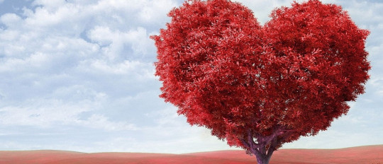 Französische Ausdrücke über Liebe und Leben