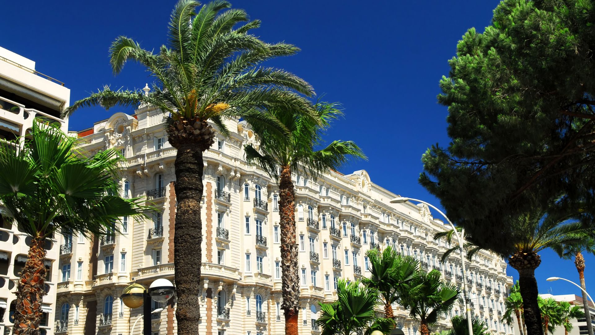 Learn french for juniors in cannes