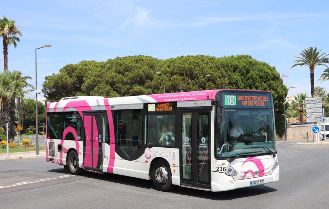 Bus
